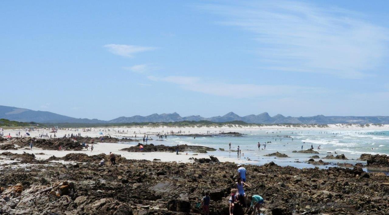 Franskraal B&B Gansbaai Bagian luar foto